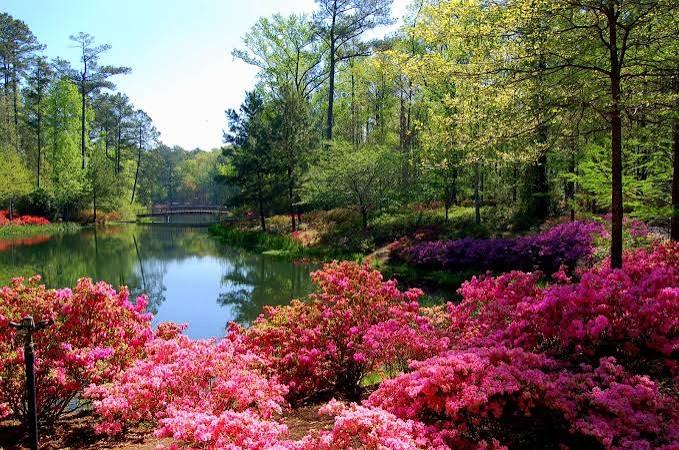 Gilmer County community greenspace and pond
